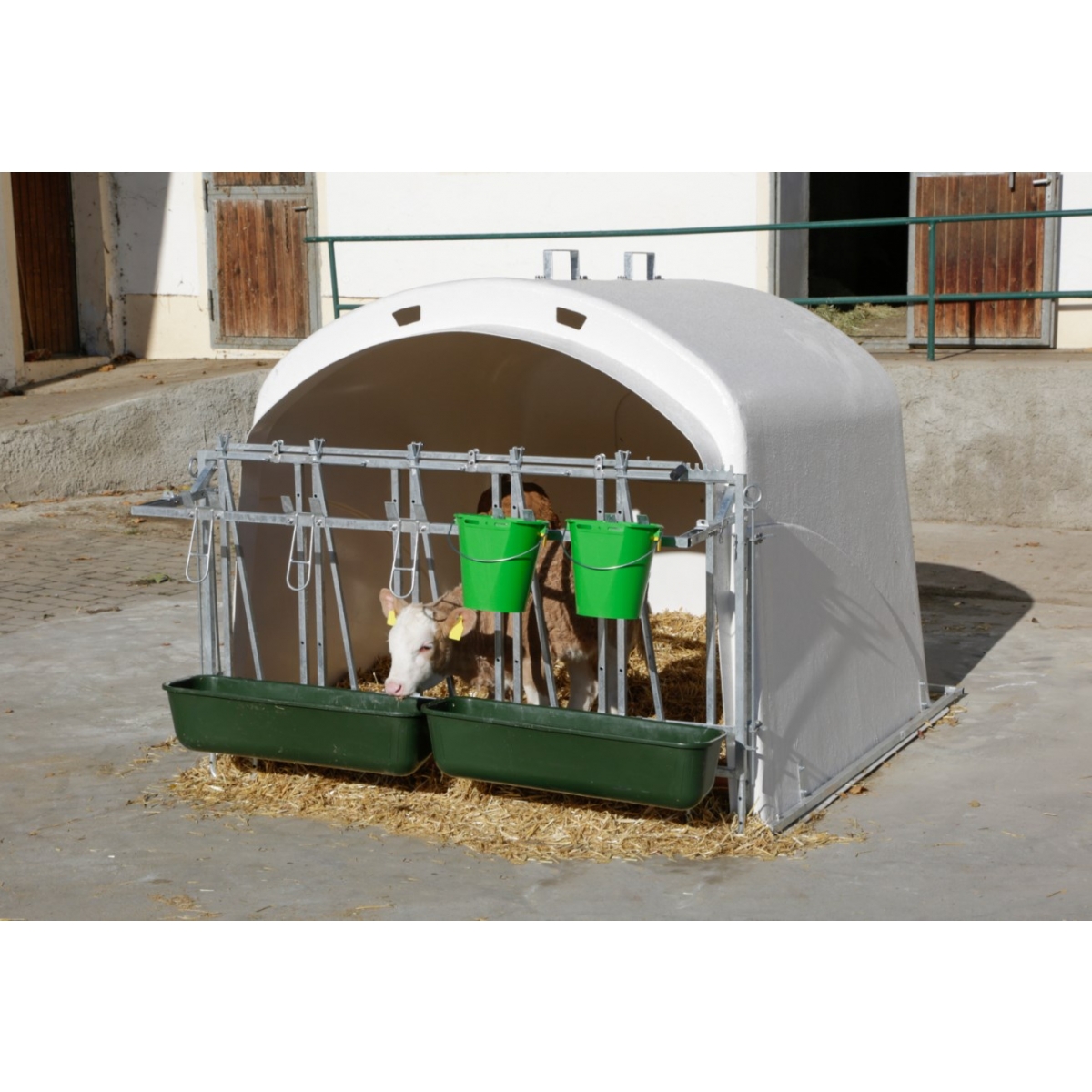 Adapost vitei cu grilaj de prindere CalfHouse  Premium XL 