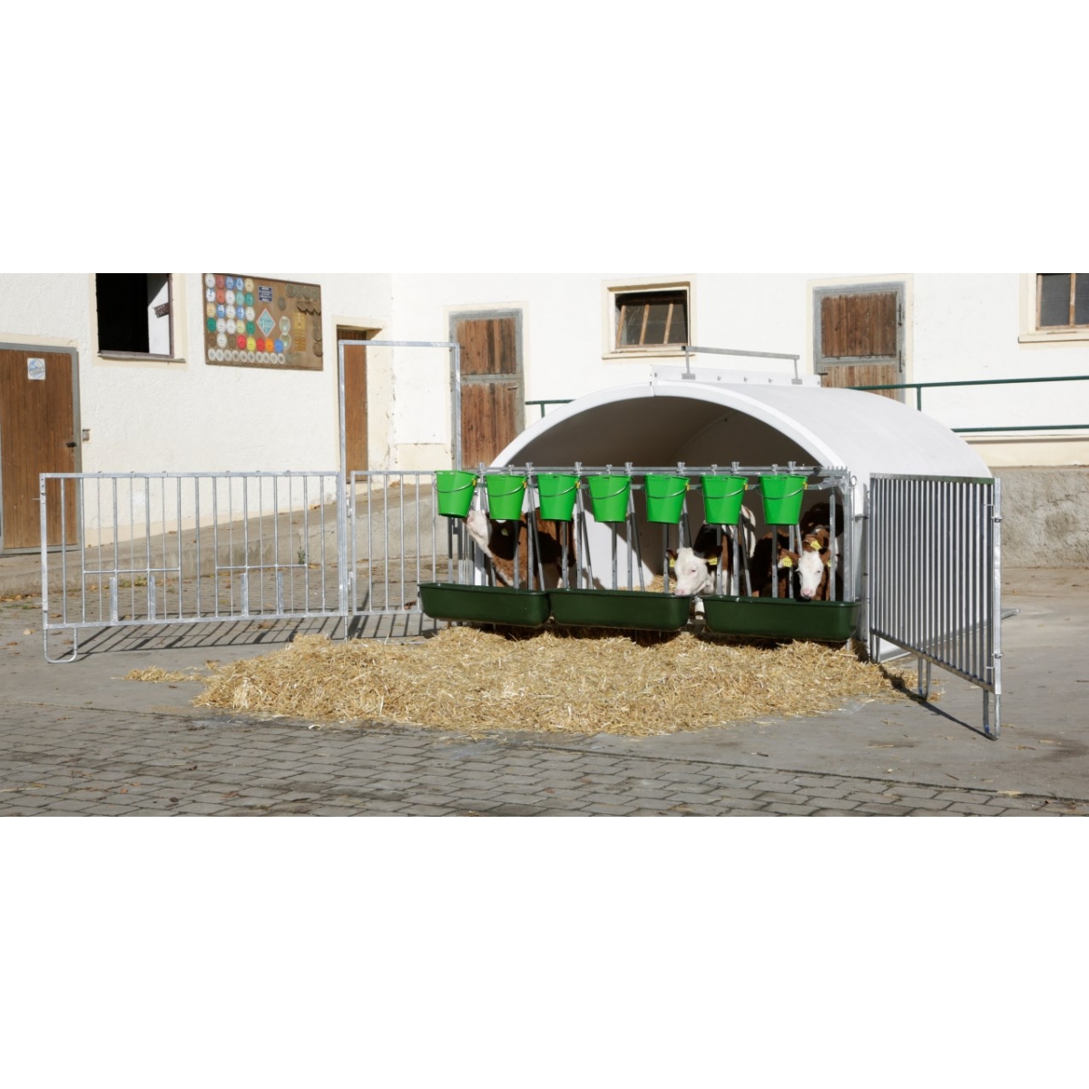 Iglu pentru vitei Calf house Premium XXL