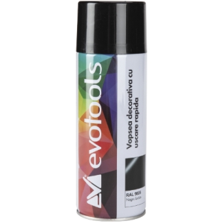 Spray Vopsea NEGRU LUCIOS