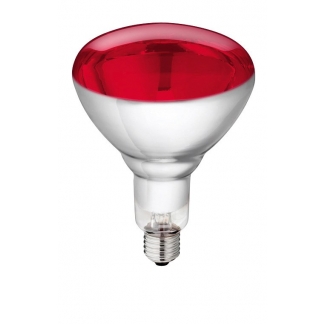  Bec infrarosu din sticla rezistenta Philips 250w