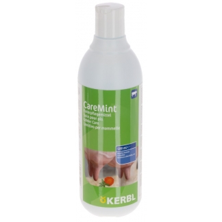 Gel pentru uger Care Mint flacon 500 ml 